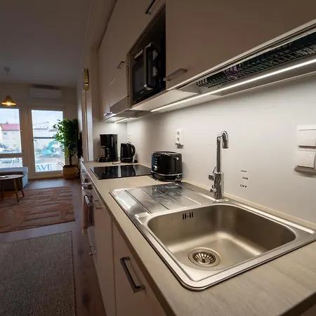 Snowflake Xii Family 로바니에미