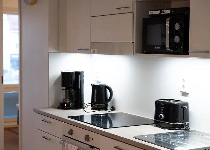 Snowflake Xii Family 아파트 *